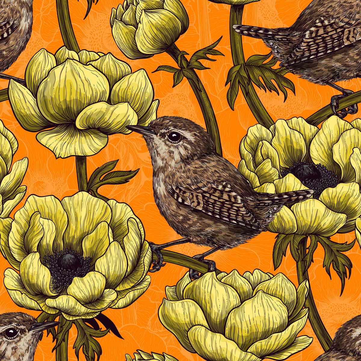 Wrens in the yellow anemone garden Wallpaper⁠ in your room — zoomed