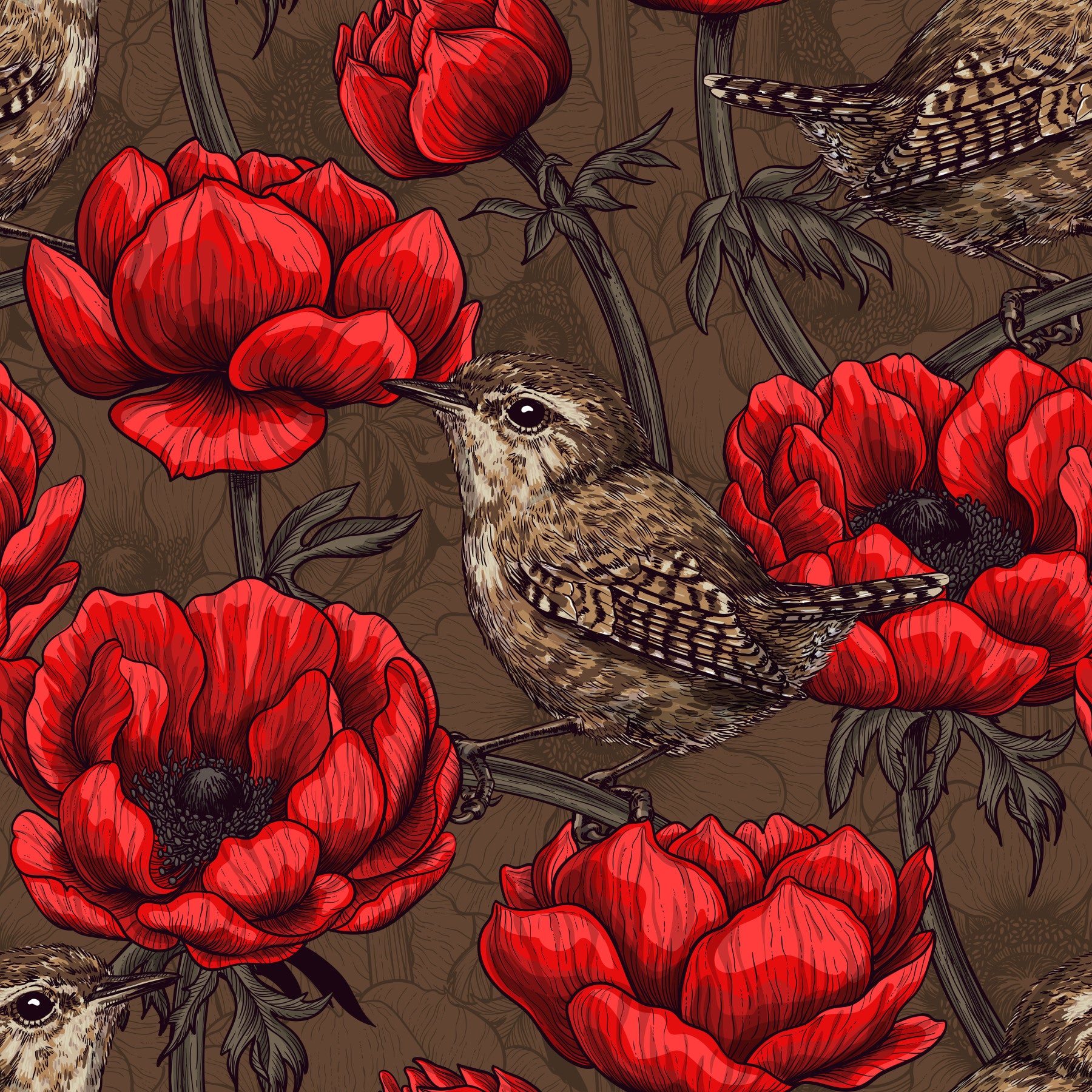 Wrens in a red anemone garden Wallpaper⁠