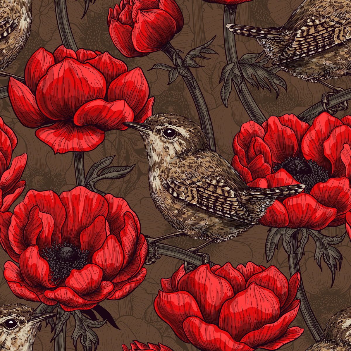 Wrens in a red anemone garden Wallpaper⁠ in your room — zoomed