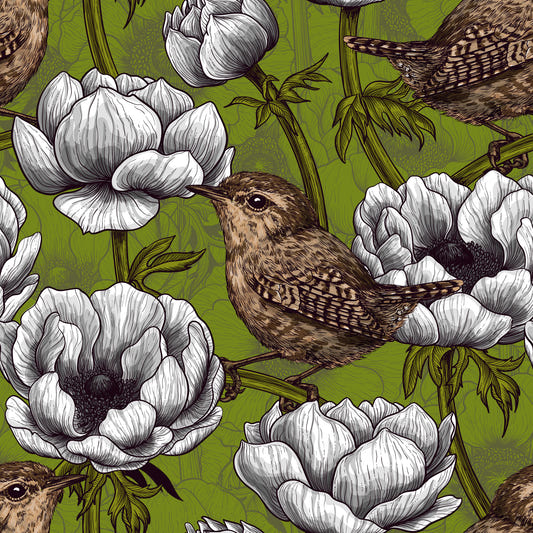Wrens in the white anemone garden Wallpaper⁠