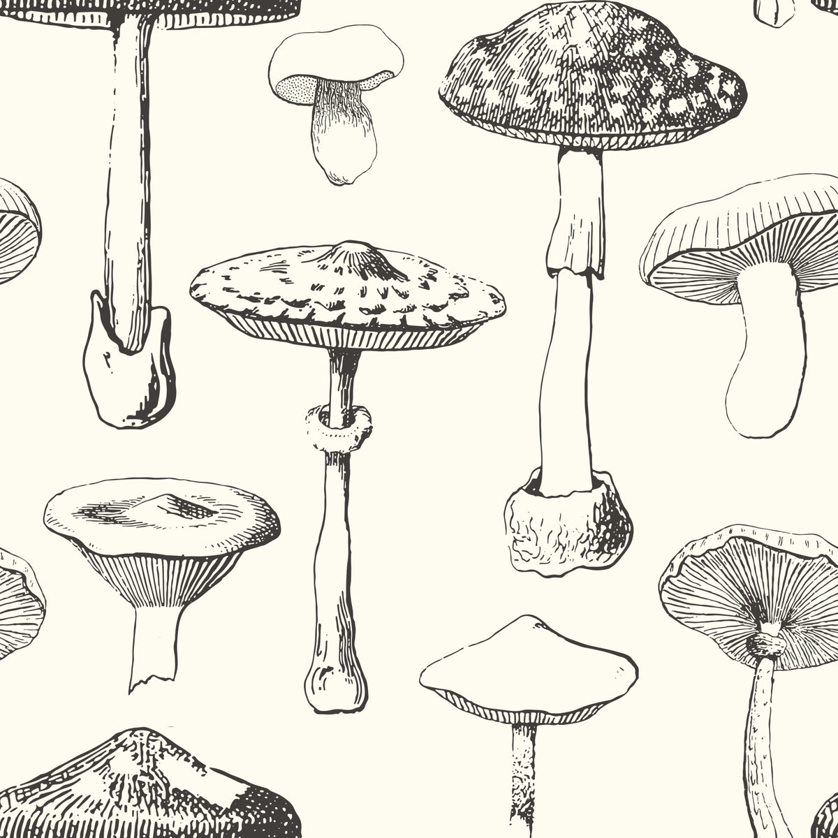 Forest Mushroom Sketch Wallpaper in your room