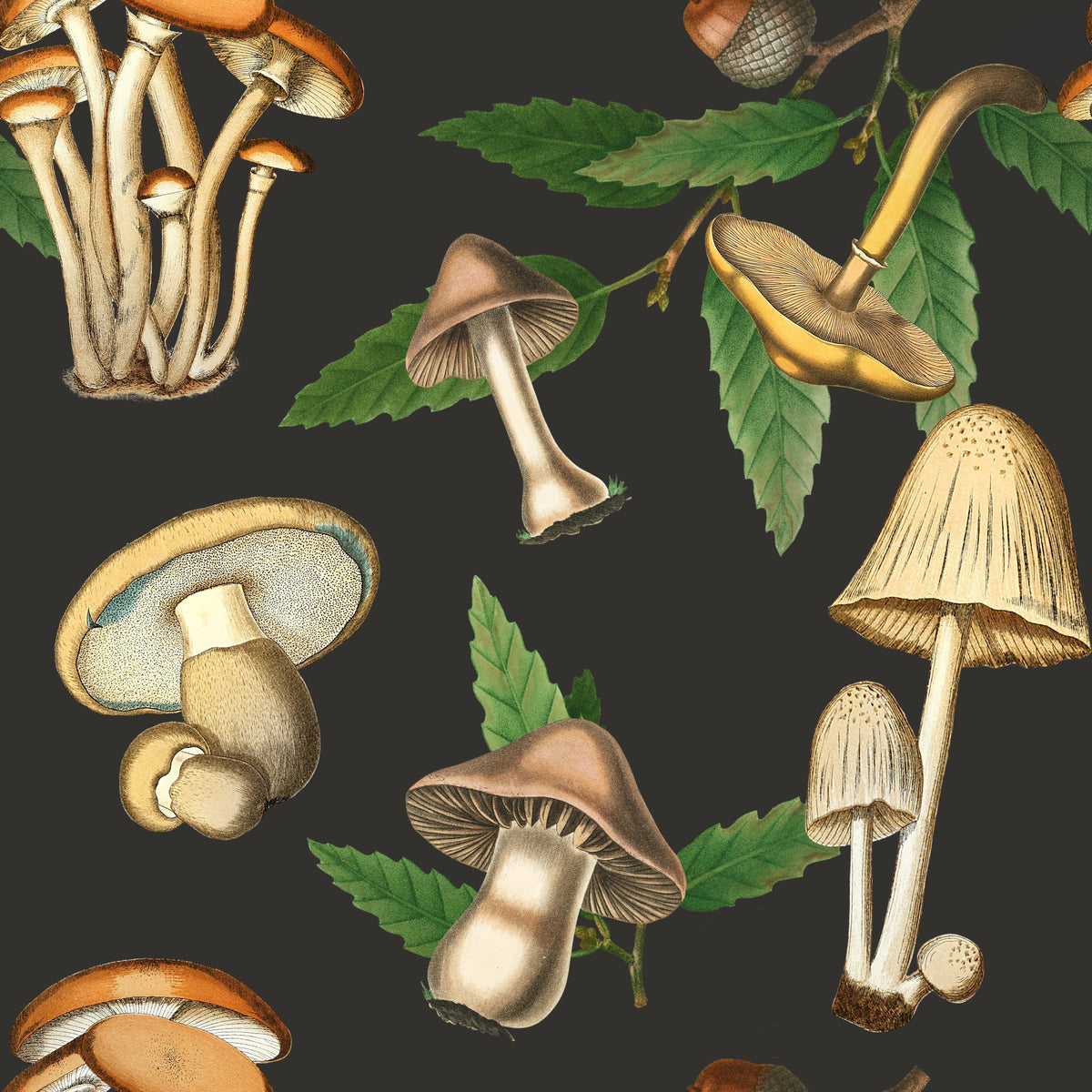 Vintage Forest Mushroom Pattern Wallpaper in your room — zoomed