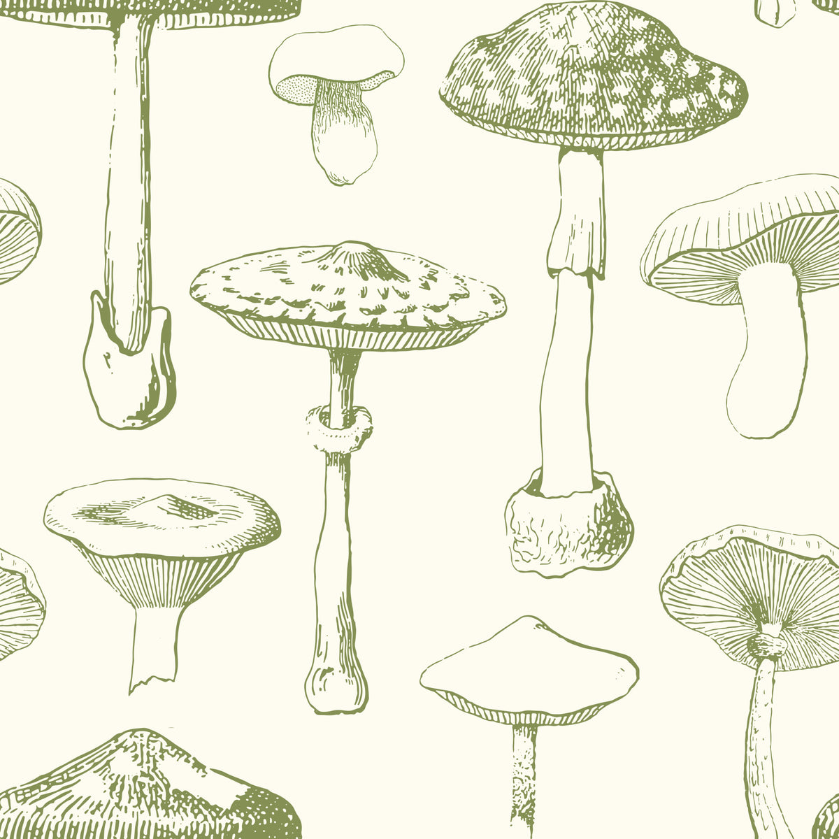 Ancient Forest Mushrooms Wallpaper in your room — zoomed
