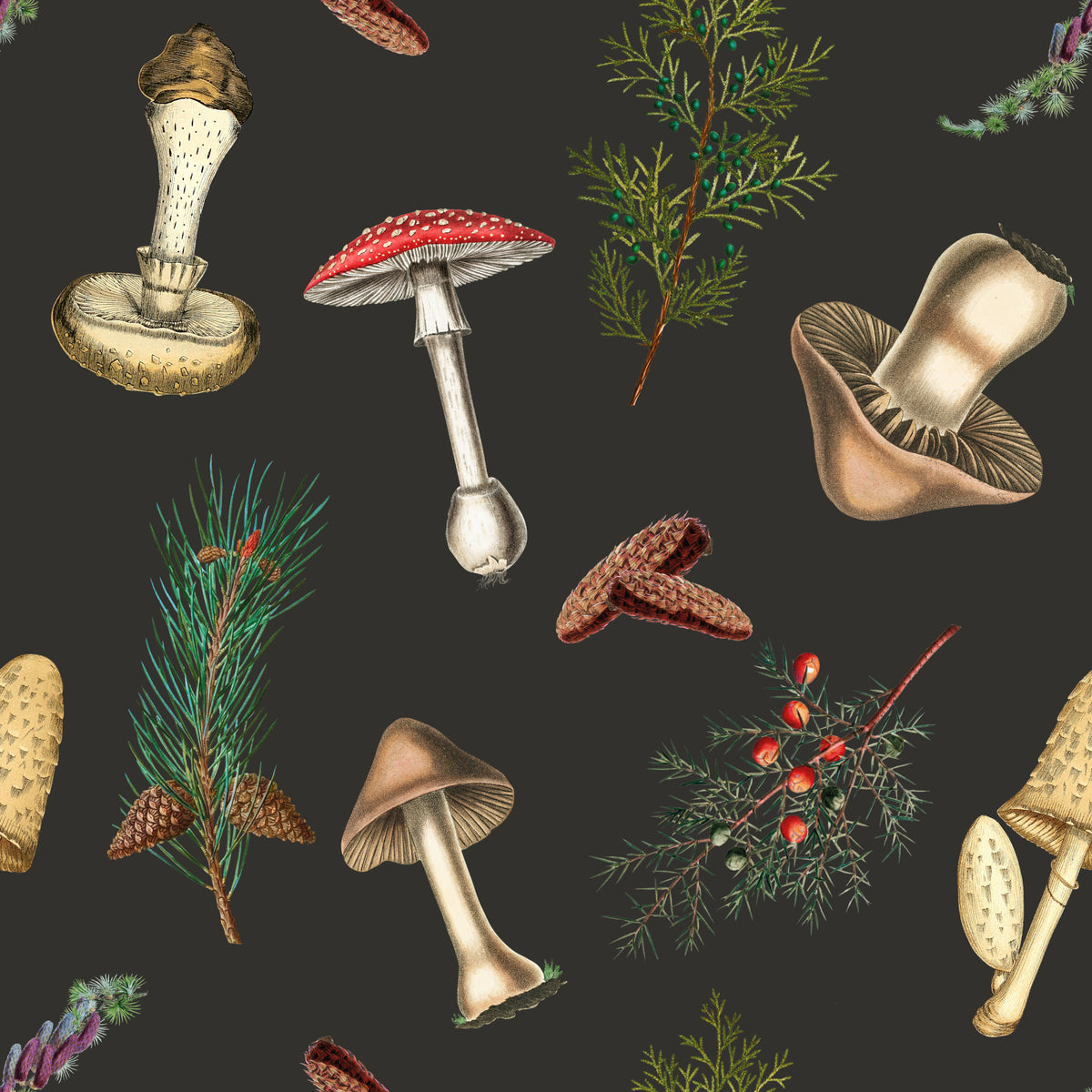 Vintage pattern of mushrooms and forest fir trees Wallpaper in your room — zoomed