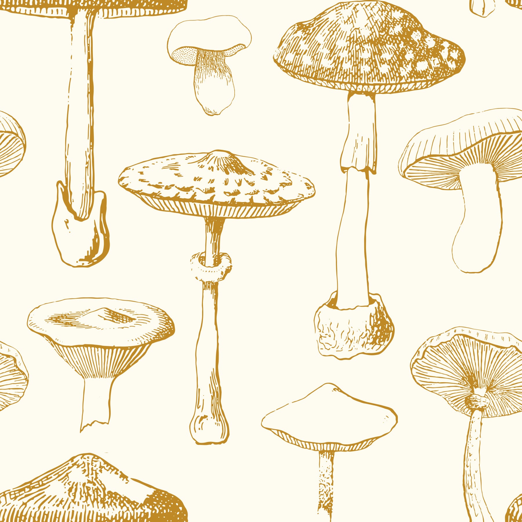 Golden Mushroom Sketchbook Wallpaper in your room — zoomed