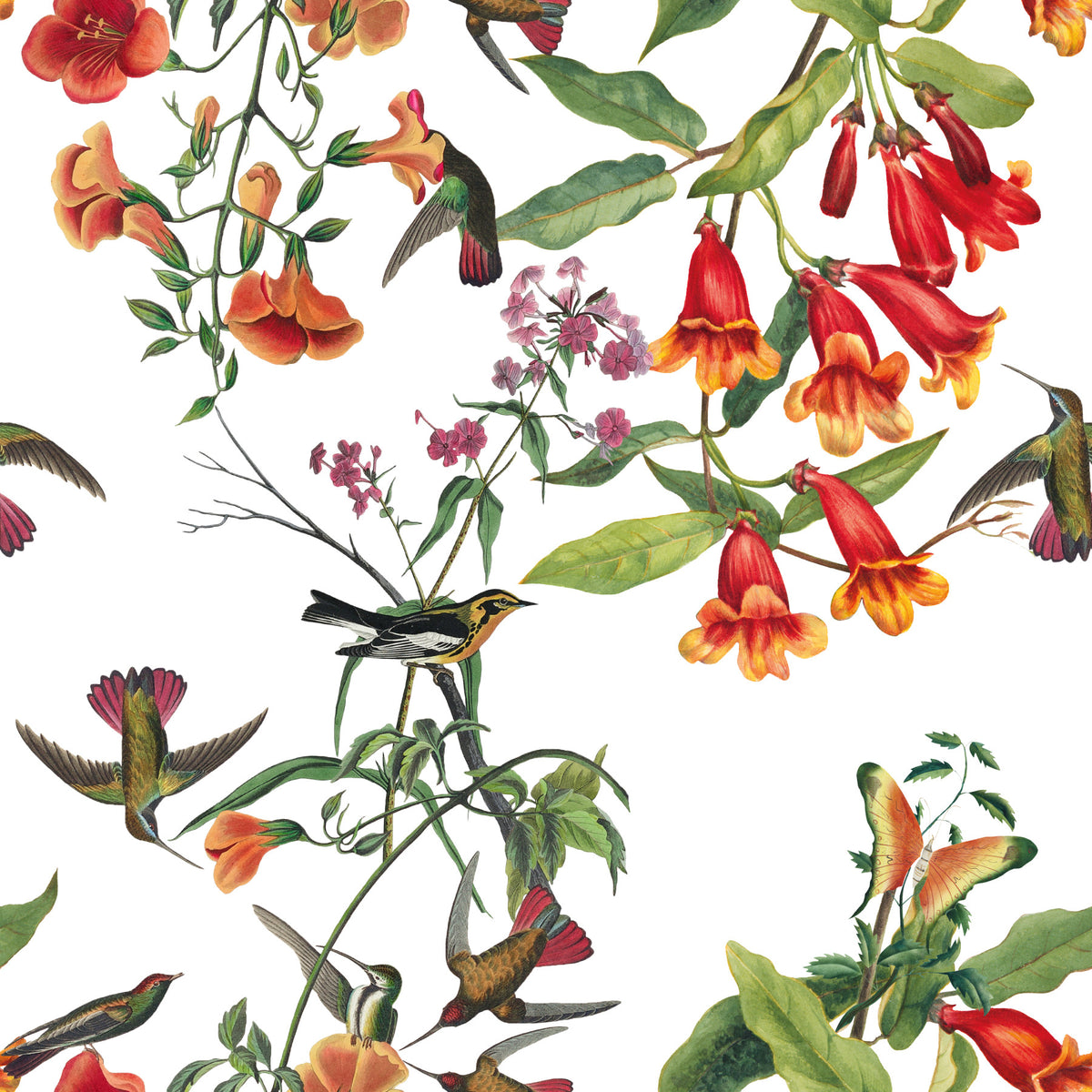 Exotic garden birds and tropical flowers wallpaper in your room — zoomed