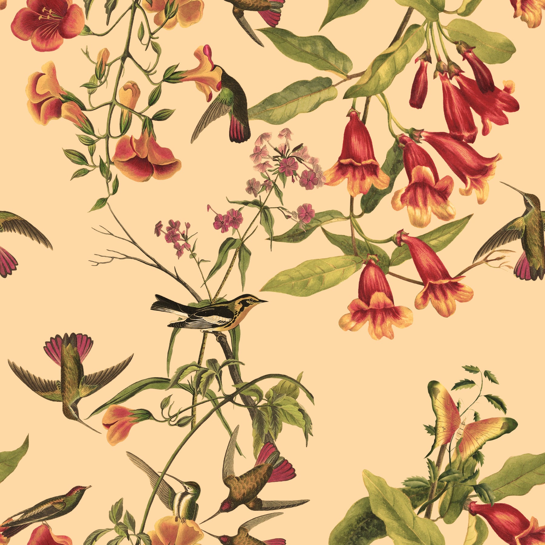 Bathroom Tropical Flowers and Hummingbirds Vintage Style Wallpaper with coral blooms