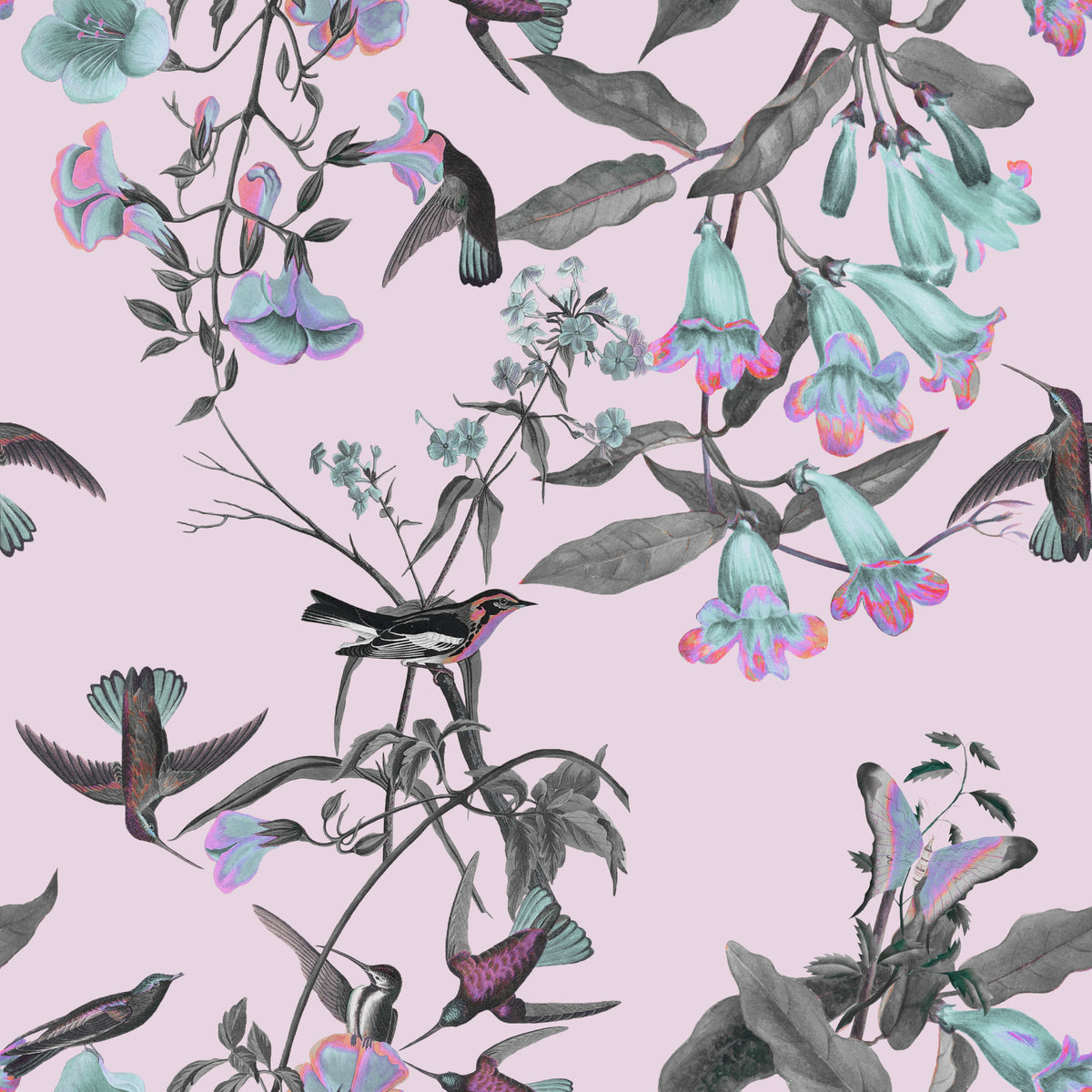 Aviario de colores pastel encantados Wallpaper⁠ in your room