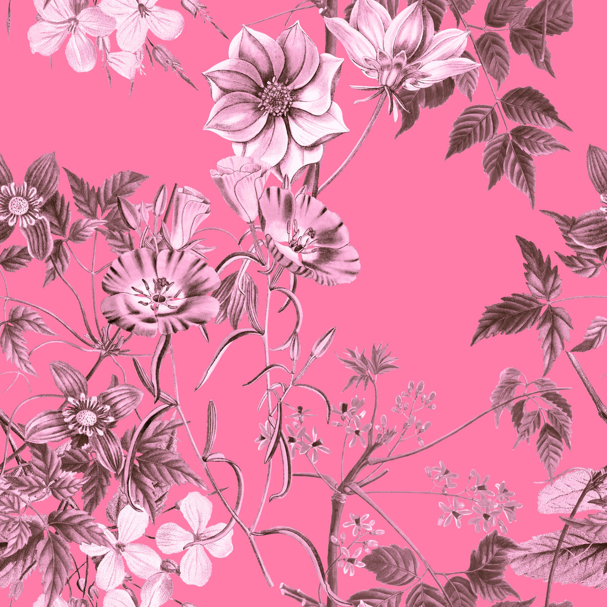 Grabados florales fucsia Wallpaper⁠ in your room