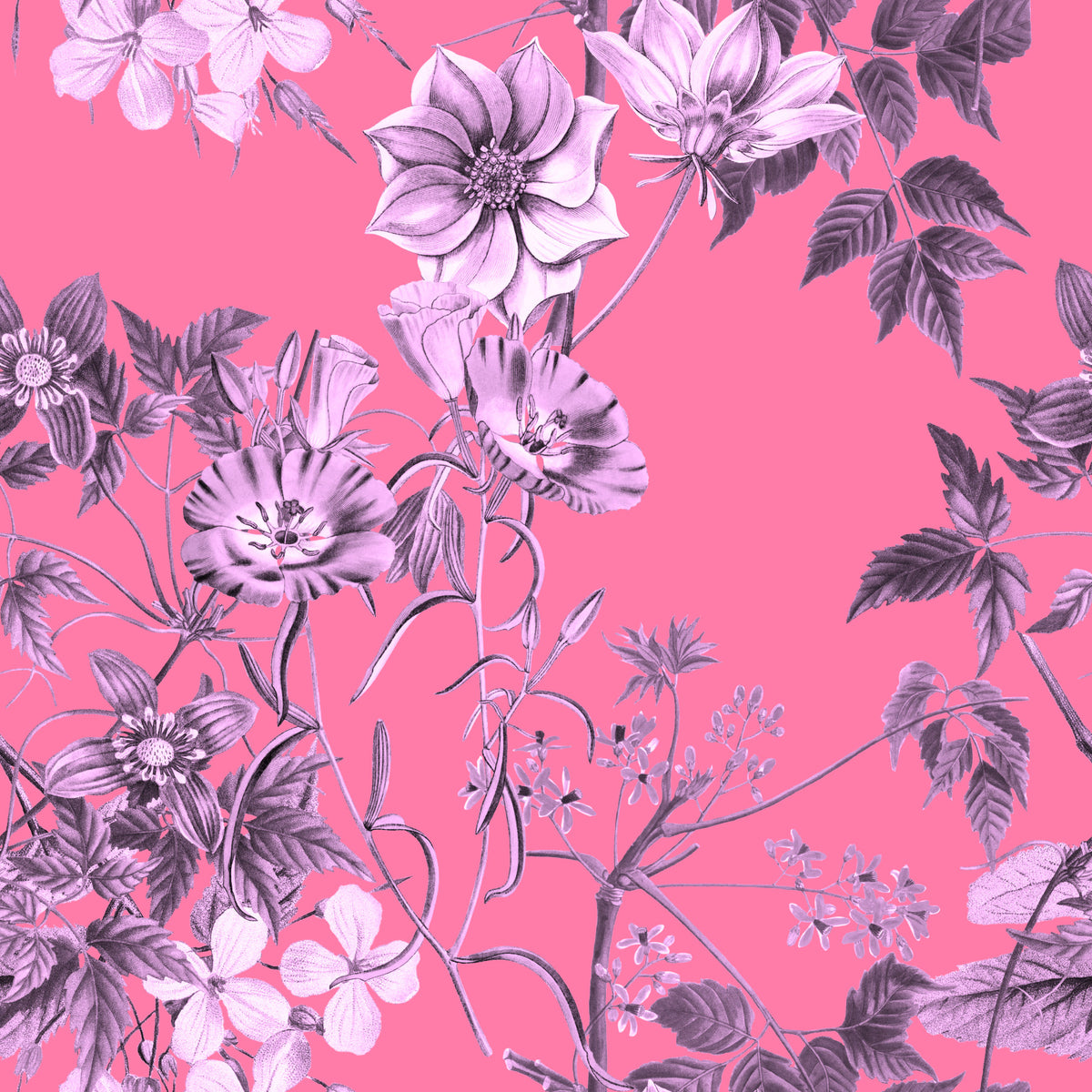 Fuchsia Garden Prints Wallpaper in your room — zoomed