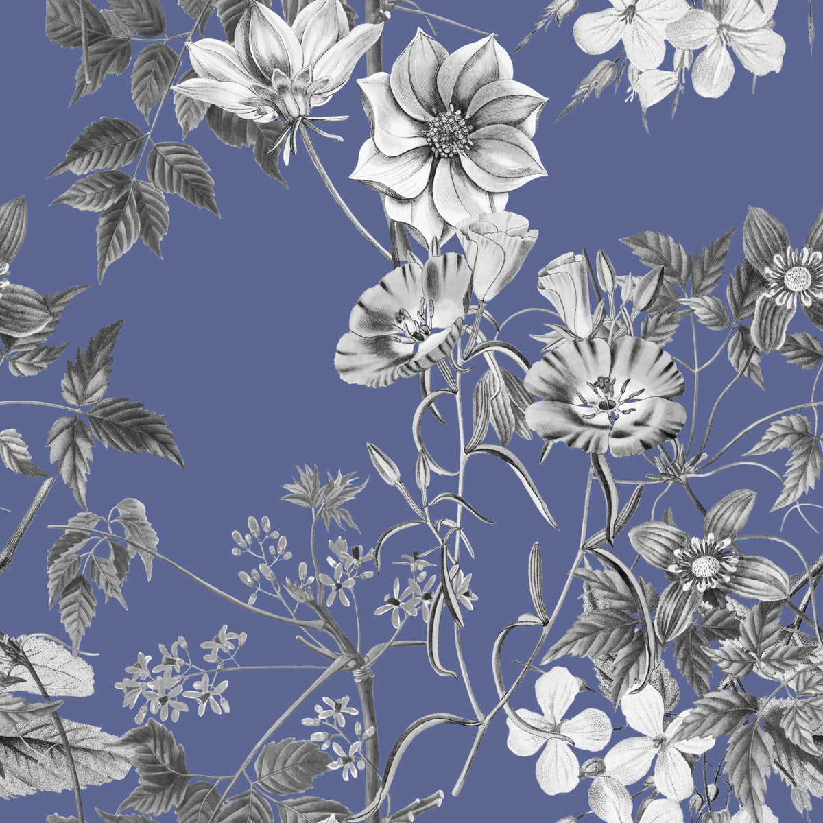 Botanical sketch of the vinca wallpaper in your room