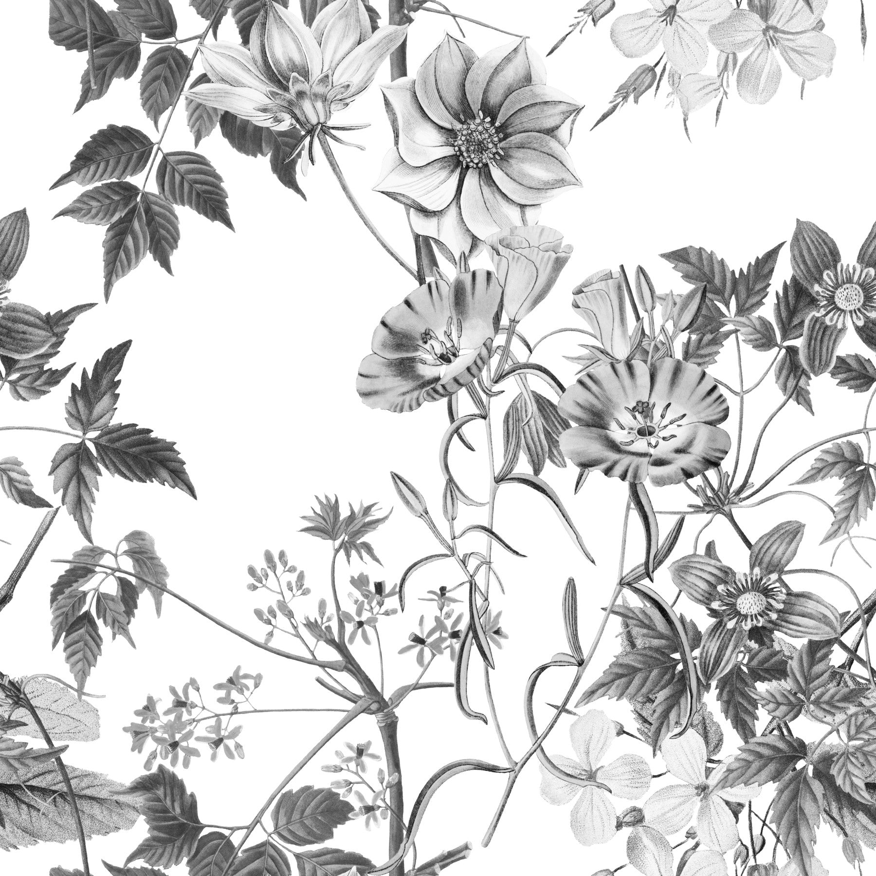 Bedroom Monochromatic Botanical Prints wallpaper with grey florals