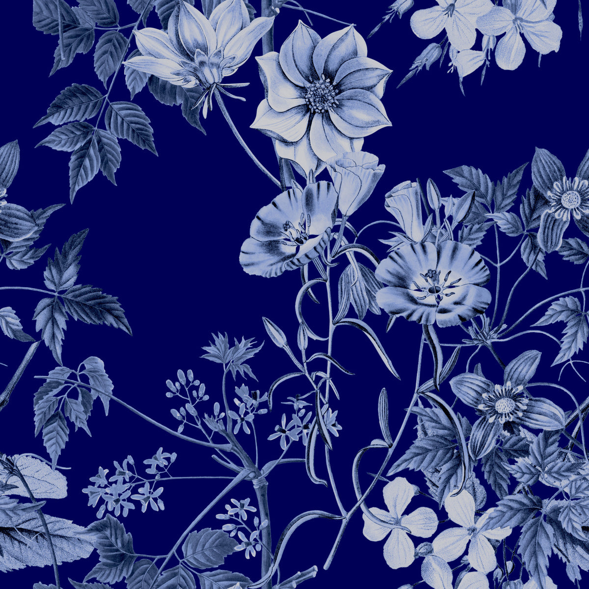 Midnight Flower Prints Wallpaper in your room
