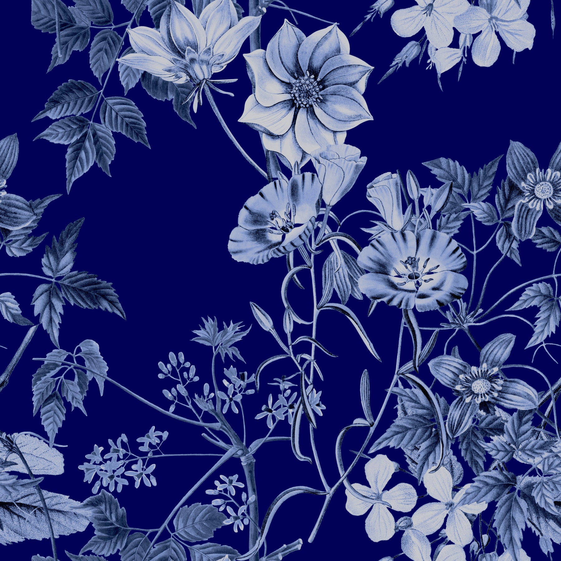 Midnight Flower Prints Wallpaper