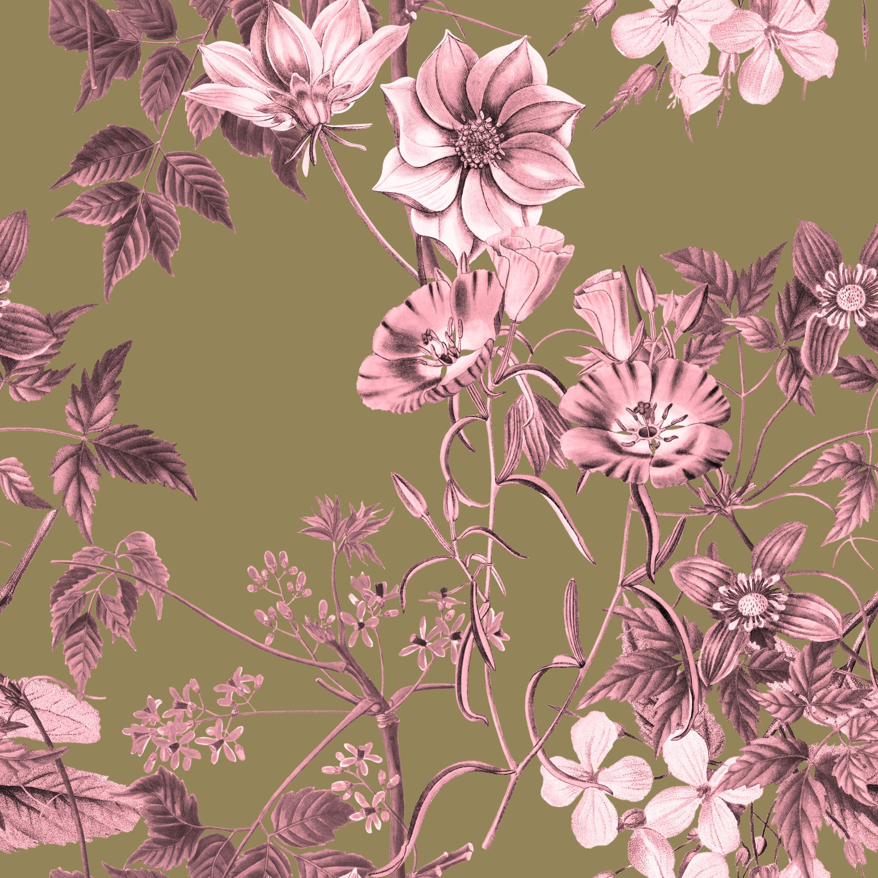 Heirloom Flowers: Rose and Olive Wallpaper