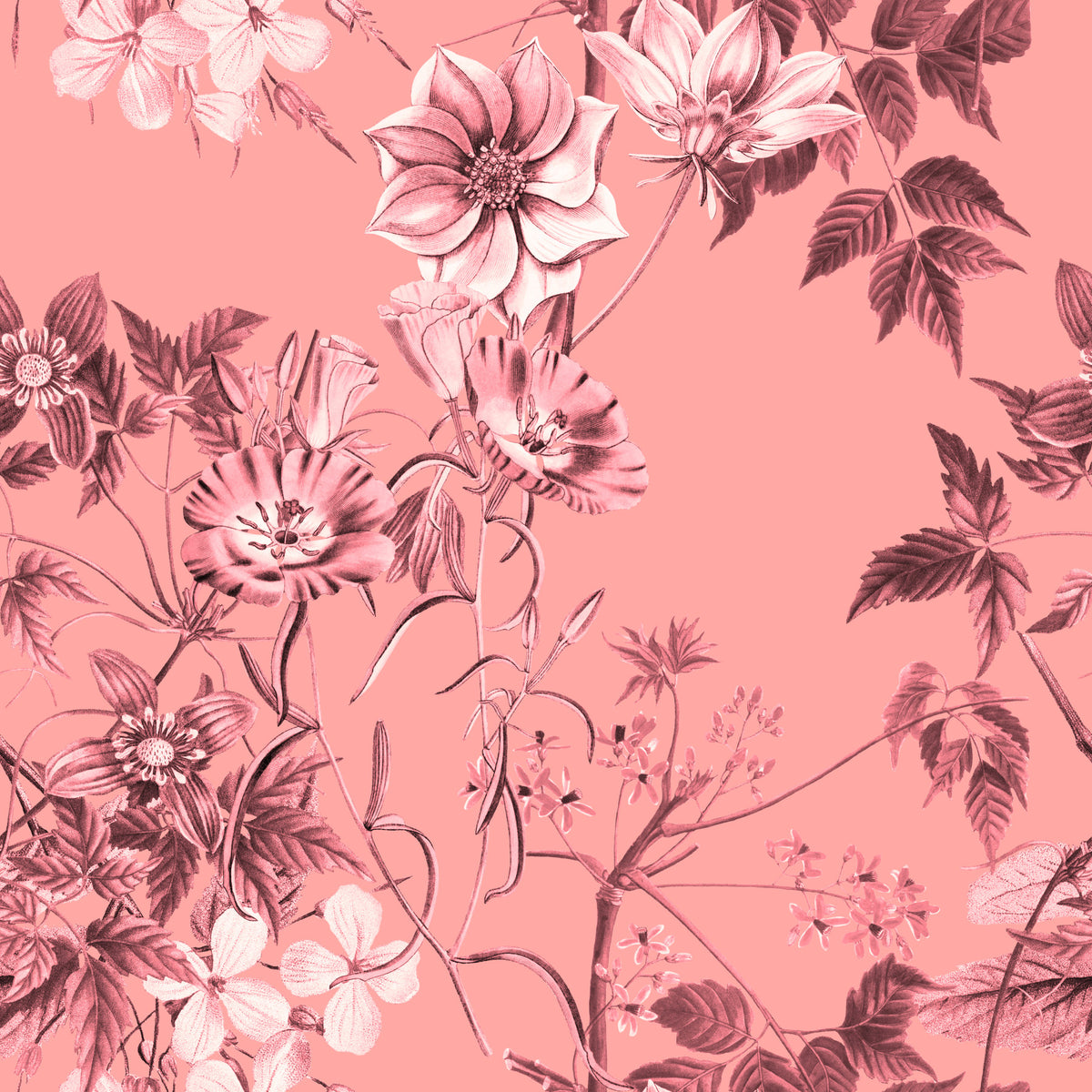 Blushing Flower Prints Wallpaper in your room — zoomed