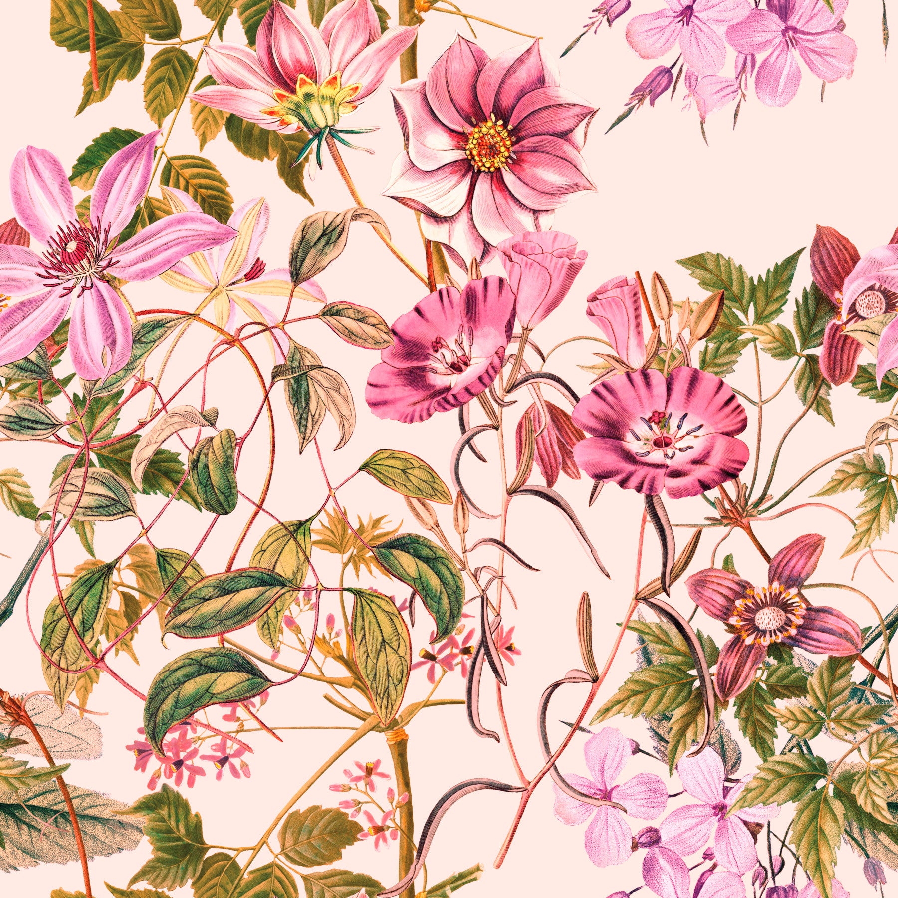 Bedroom Floral Elegance wallpaper with pink flowers and leafy vines