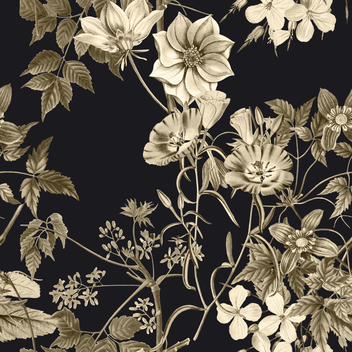 Elegancia botánica negra Wallpaper⁠ in your room