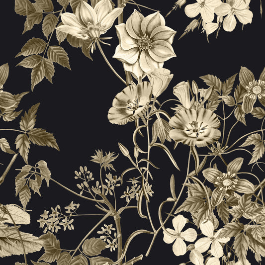 Elegancia botánica negra Wallpaper⁠