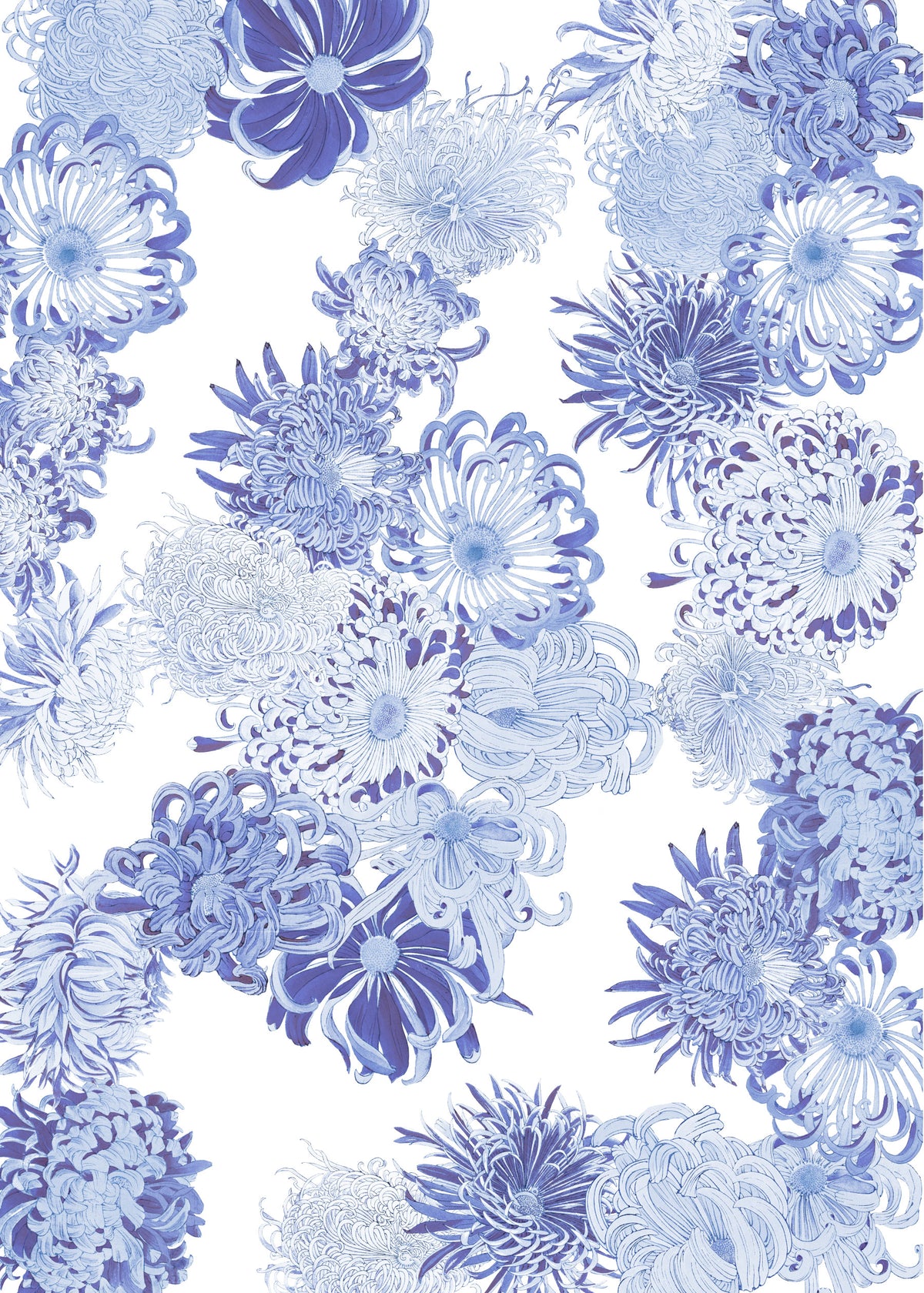 Blue Chrysanthemum Cascade Wall Mural in your room — zoomed