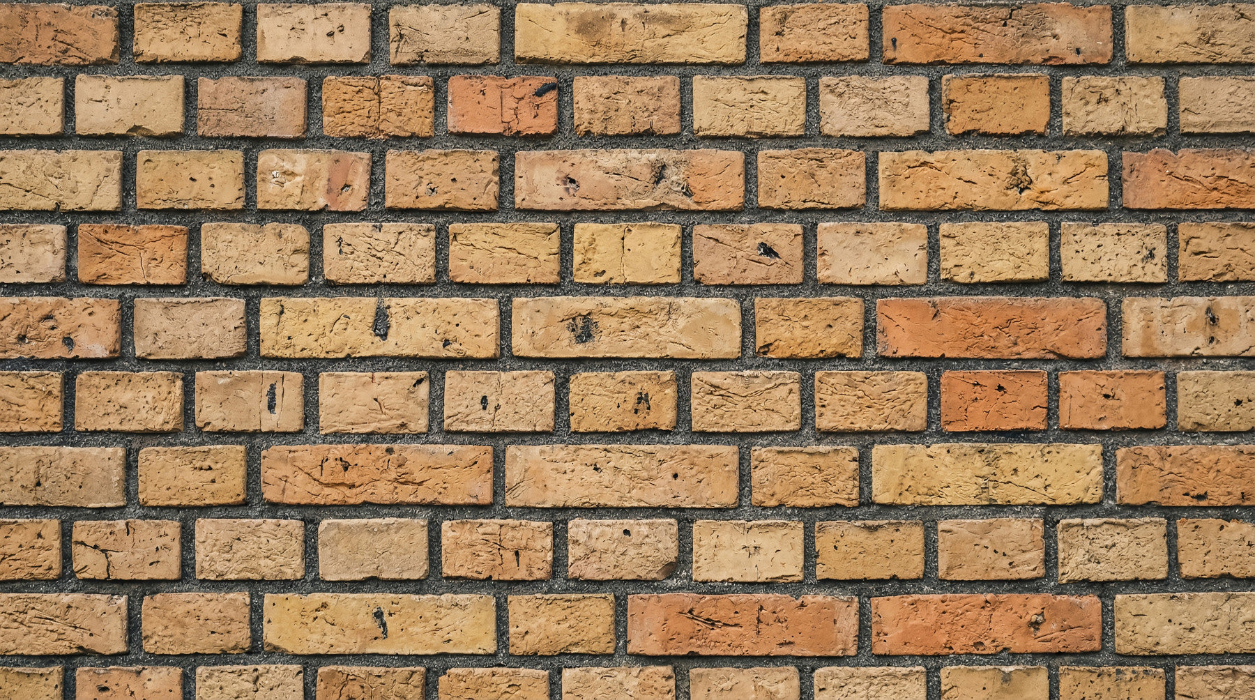Timeless Brick Pattern Wall Mural in your room — zoomed