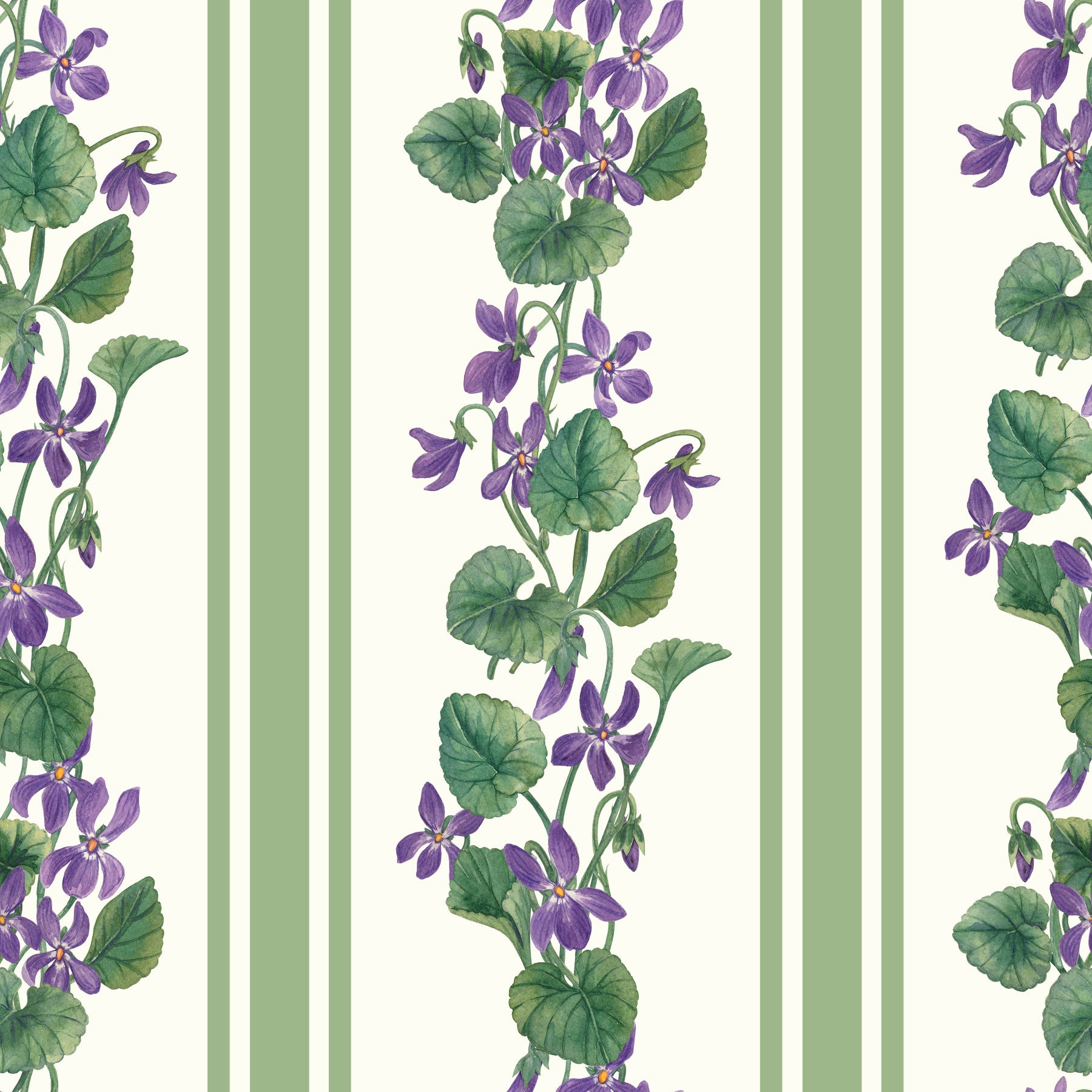 Stripes and violets/ green and violet Wallpaper⁠