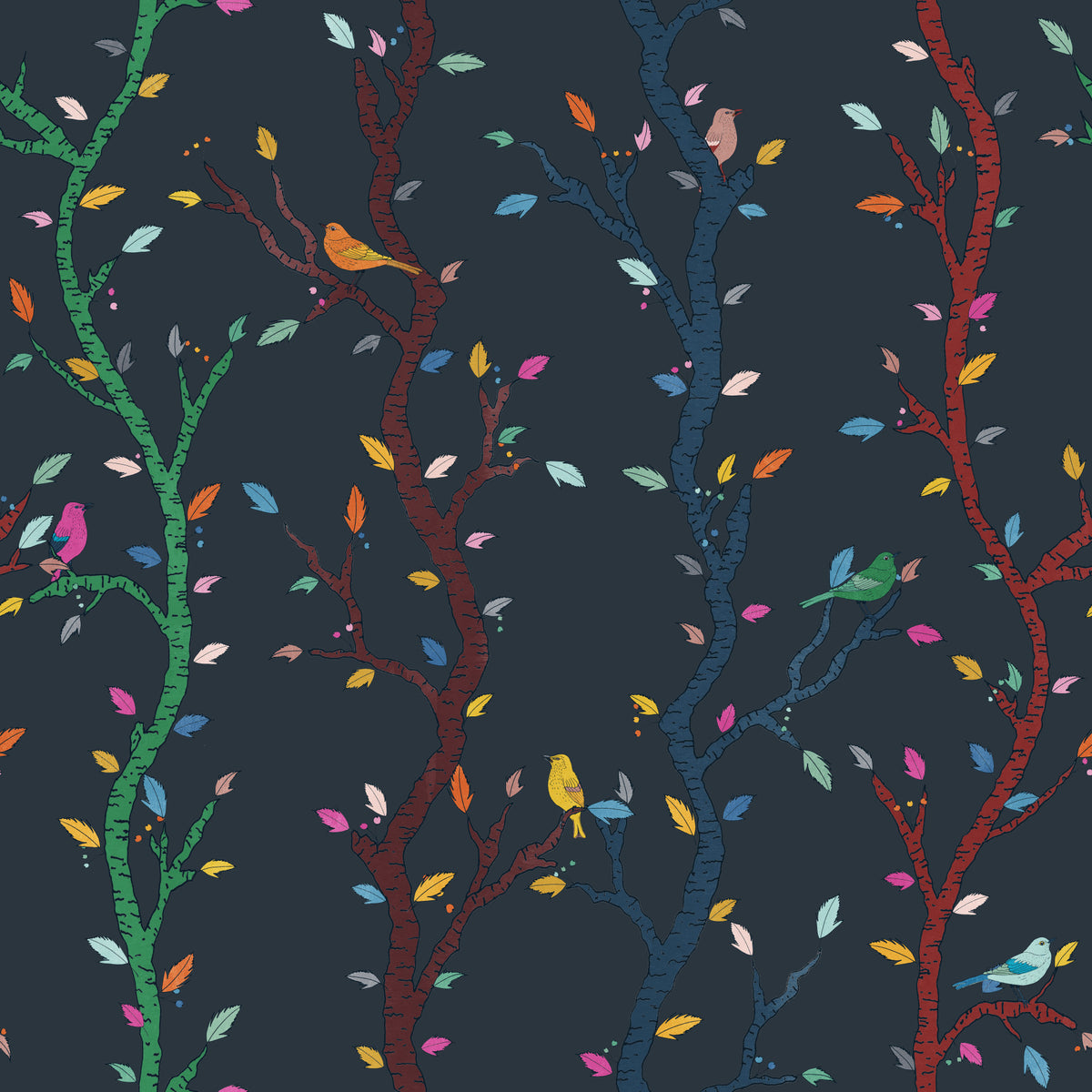 Midnight Woodland Branches with Birds Wallpaper⁠ in your room