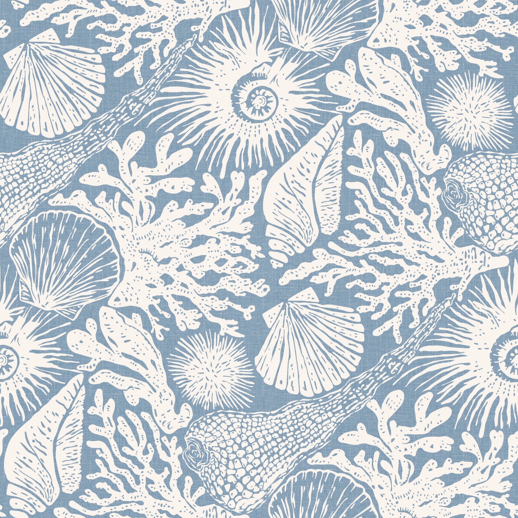 Boho Seashell & Coral Off-White on Azure Wallpaper⁠