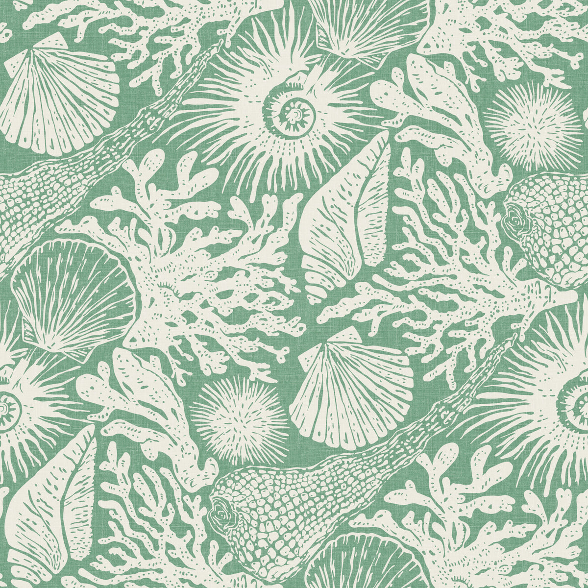 Boho Seashell & Coral Aqua Green Wallpaper⁠ in your room