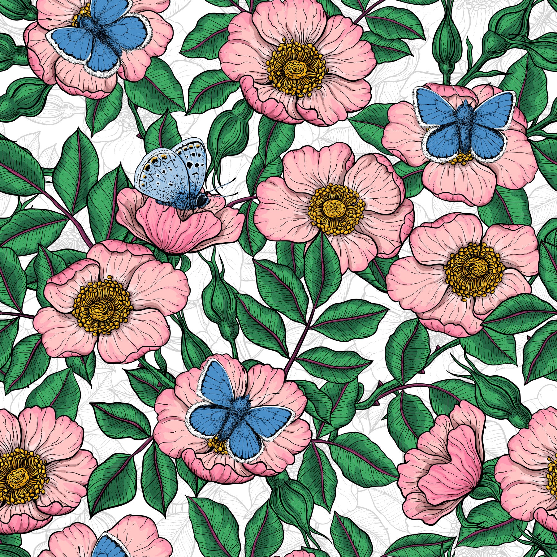 Dog Rose and Butterflies – Pink Green and Blue Floral Colored Line Art on White Background Wallpaper⁠