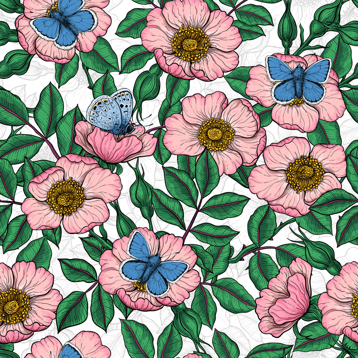Dog Rose and Butterflies – Pink Green and Blue Floral Colored Line Art on White Background Wallpaper⁠ in your room — zoomed