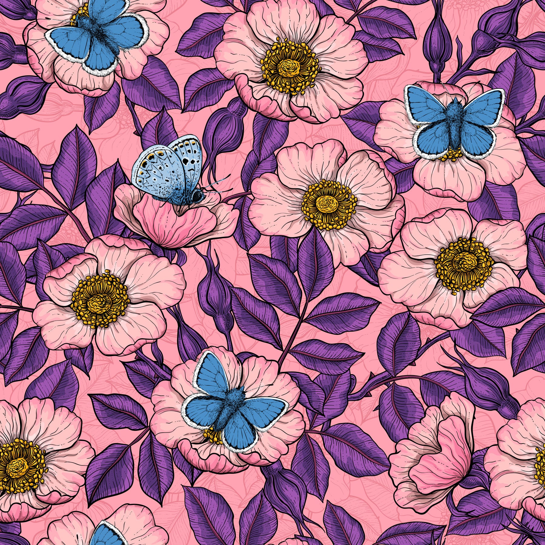 Dog Rose and Butterflies – Pink and Purple Floral Colored Line Art on pink Background Wallpaper⁠