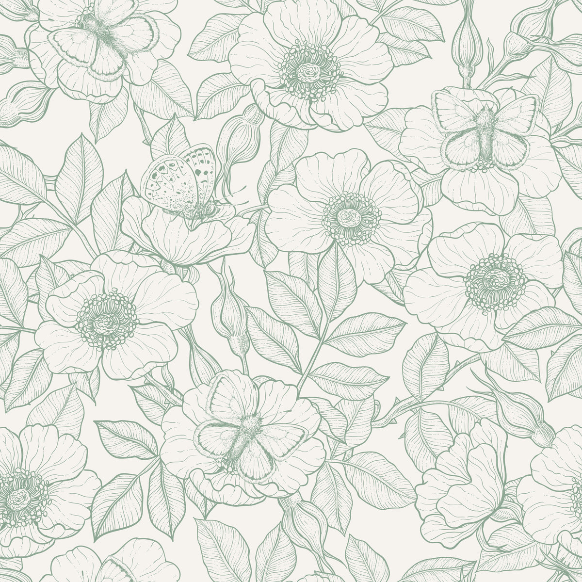 Dog rose and butterflies/Soft Green Linework Floral on Off‑White Wallpaper⁠ in your room — zoomed