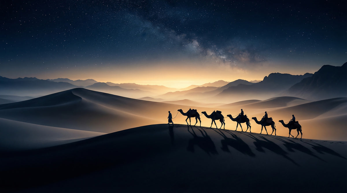 Desert Trek Beneath the Milky Way Wall Mural in your room