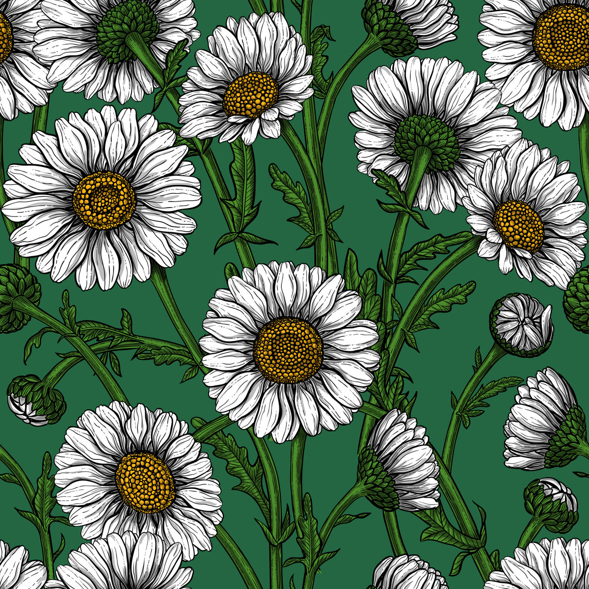 Daisies on emerald green Wallpaper⁠ in your room