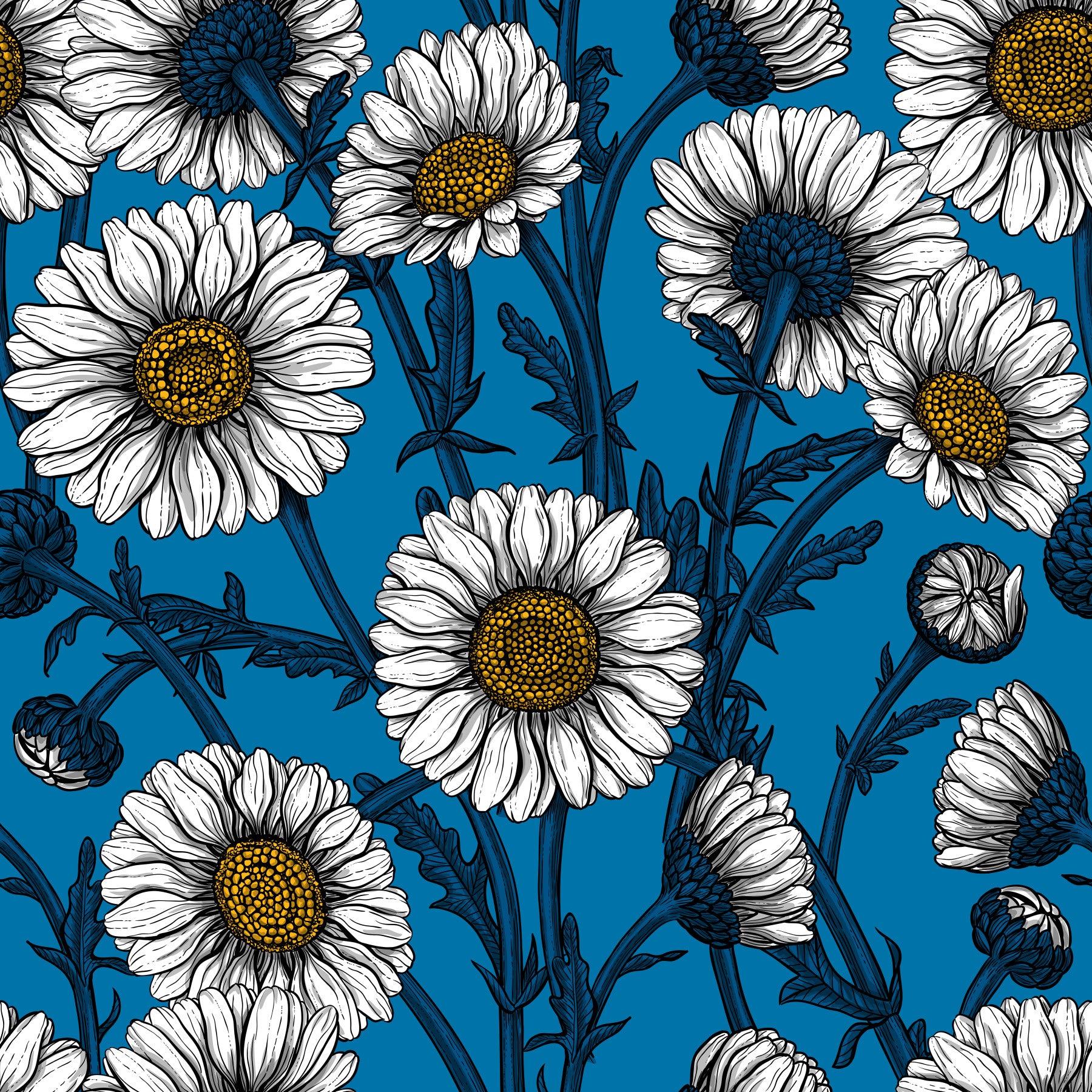 Daisies on blue 2 Wallpaper⁠