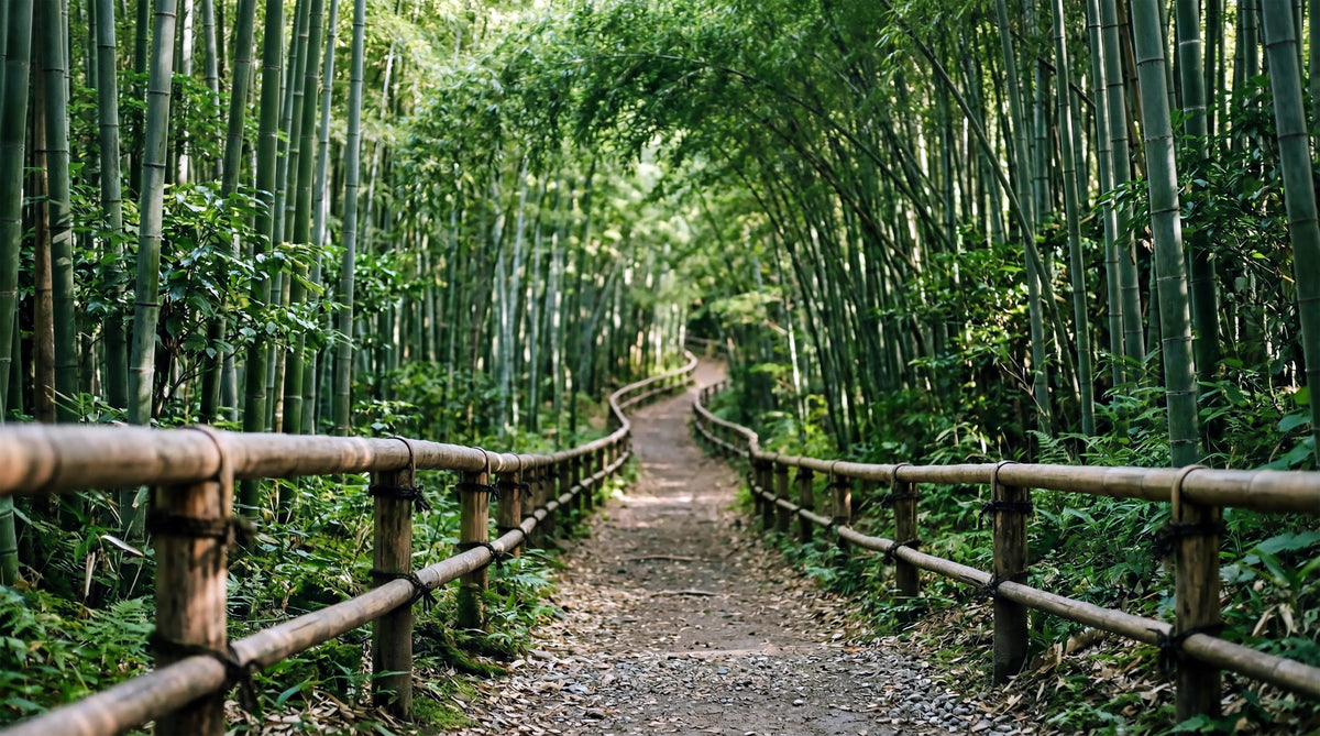 Bamboo Forest Path of Serenity Wall Mural in your room — zoomed