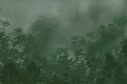 Emerald Canopy Mist Forest Dark  Wall Mural