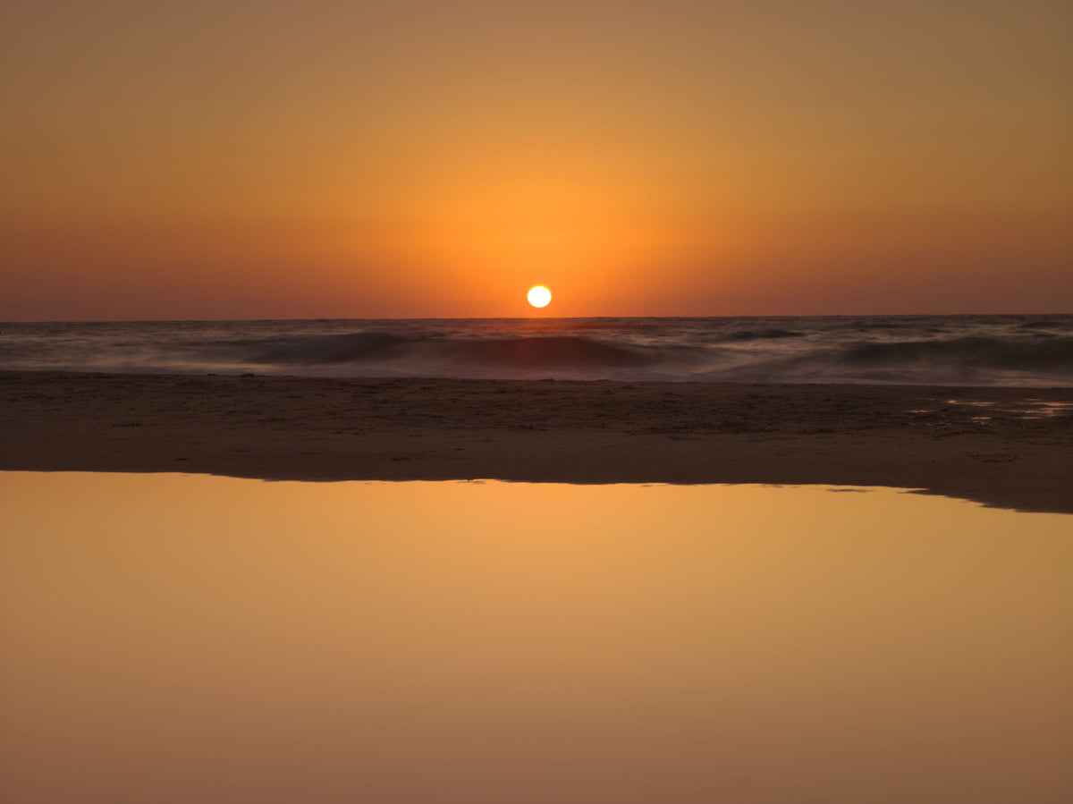 Golden Ocean Horizon Wall Mural in your room