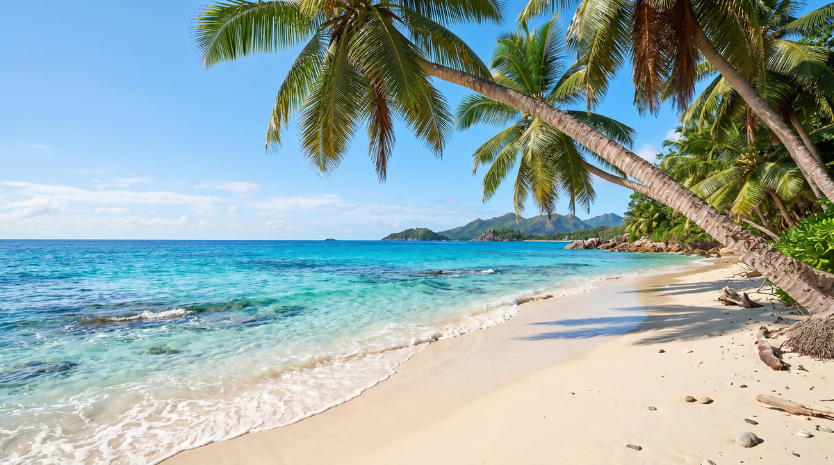 Tropical Beach Paradise Wall Mural in your room — zoomed