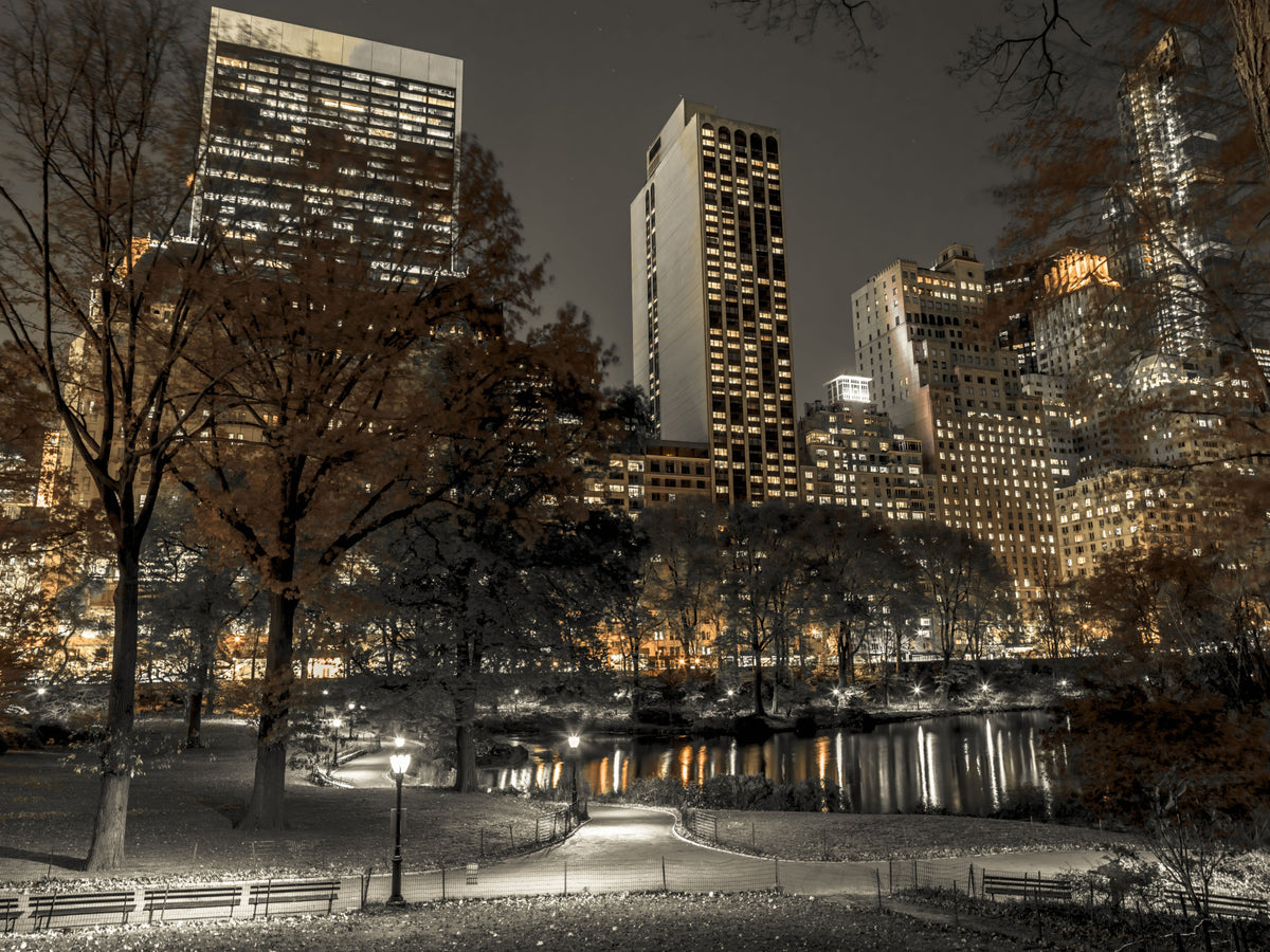 Urban Oasis Nights Wall Mural in your room