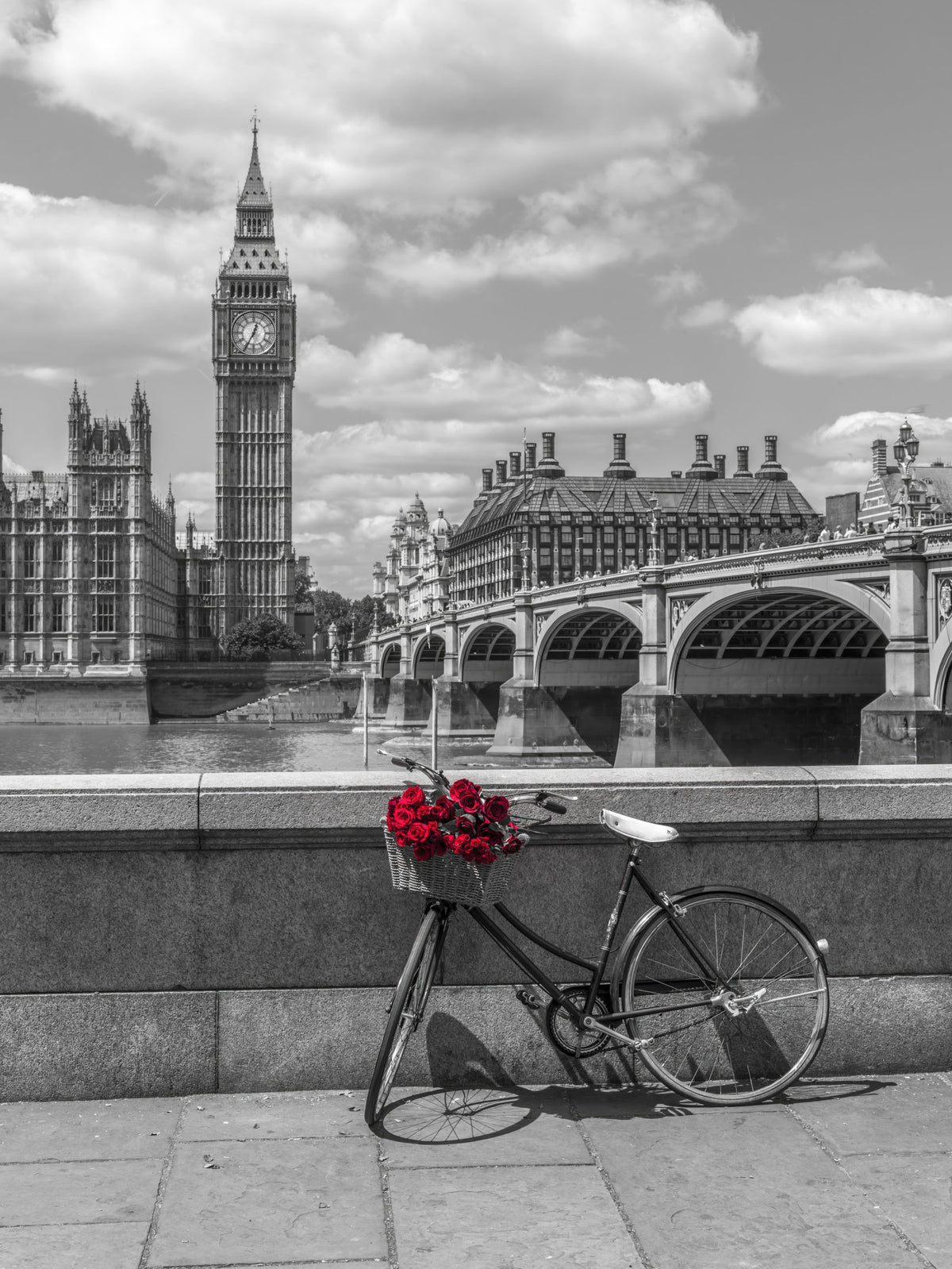 London Love: Monochrome & Red Roses Wall Mural in your room