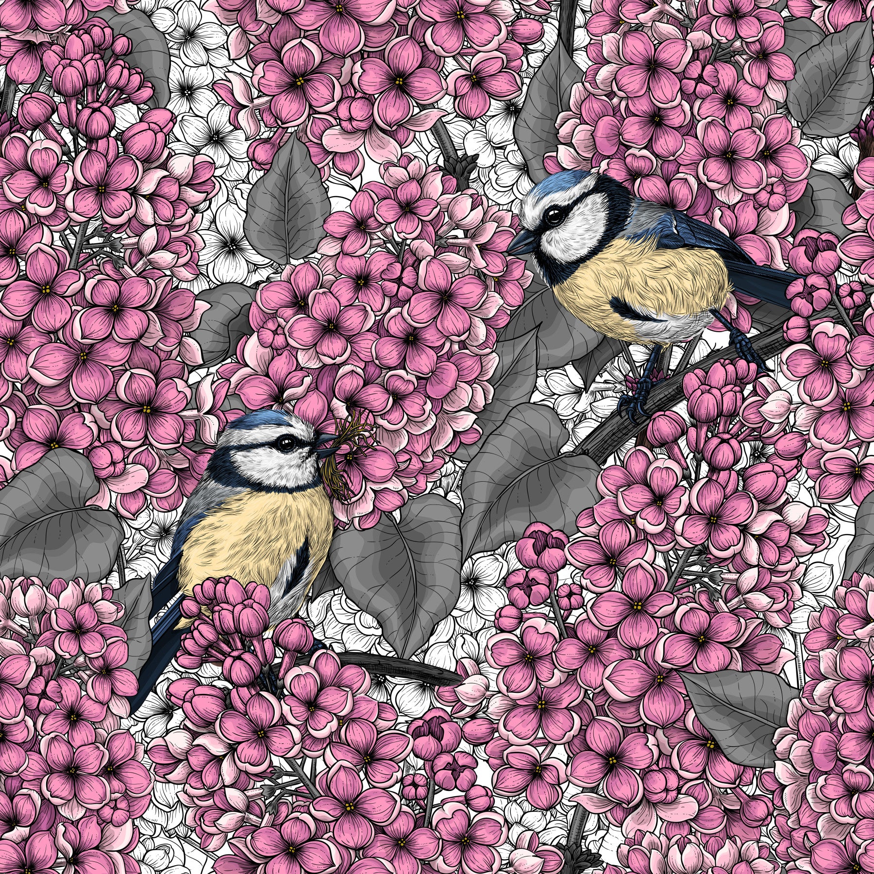 Dining rooms feature the Birds in pink lilac garden wallpaper.