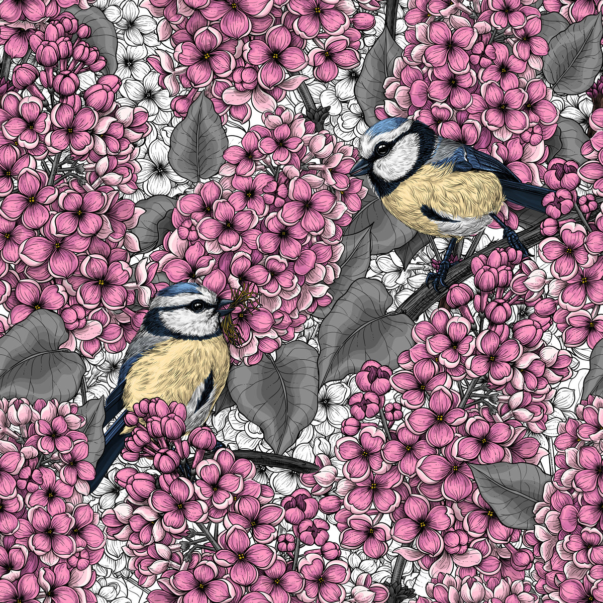 Birds in pink lilac garden  Wallpaper⁠ in your room