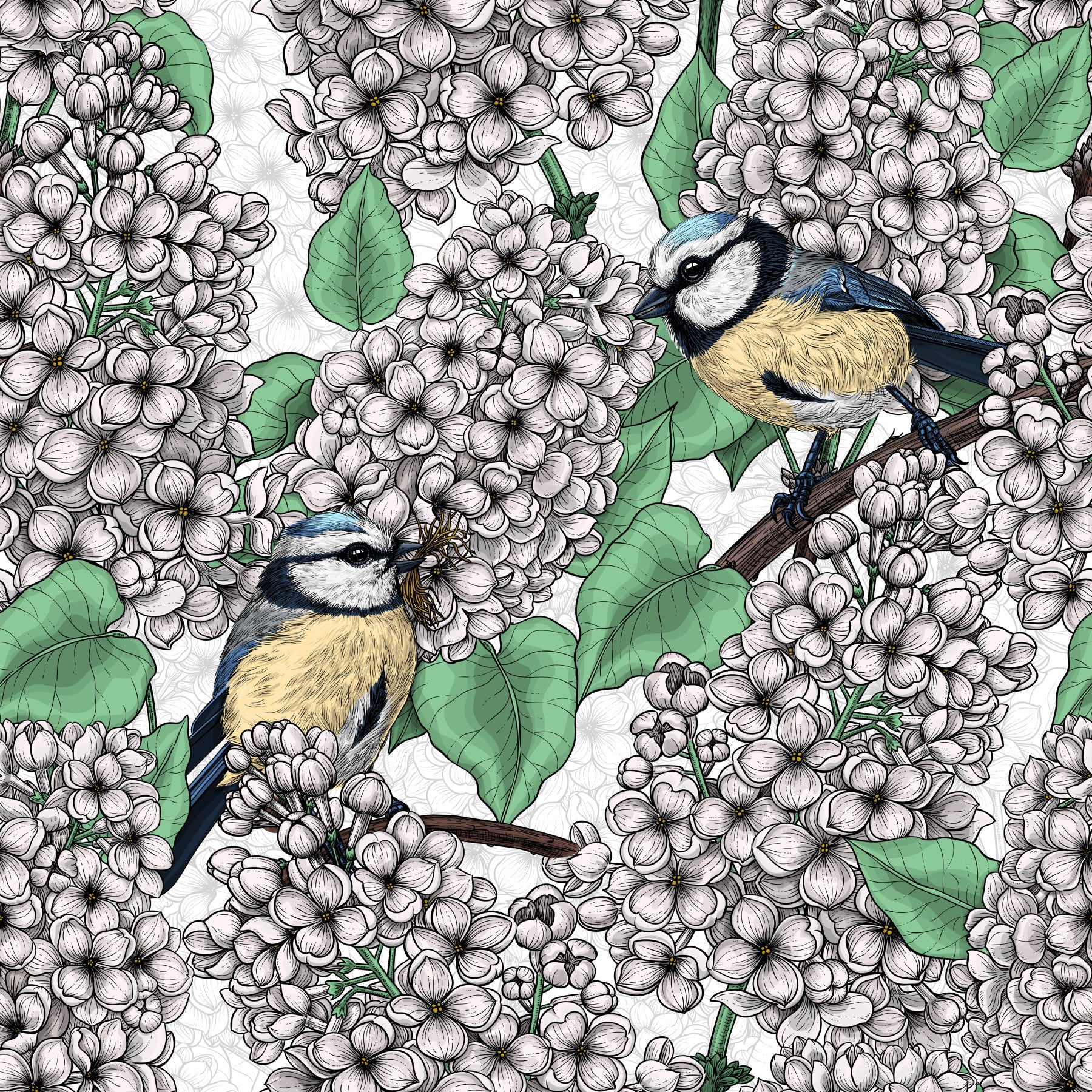 The Birds in the lilac tree, white and green Wallpaper covers the main Dining room space.