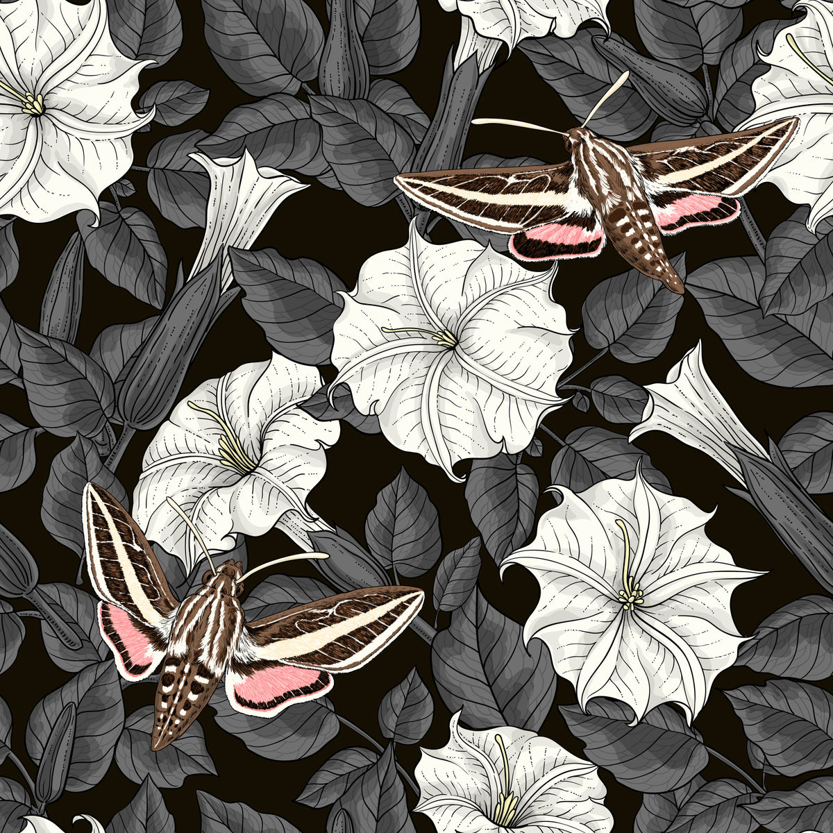 Moonflowers and sphinx moths Wallpaper⁠ in your room