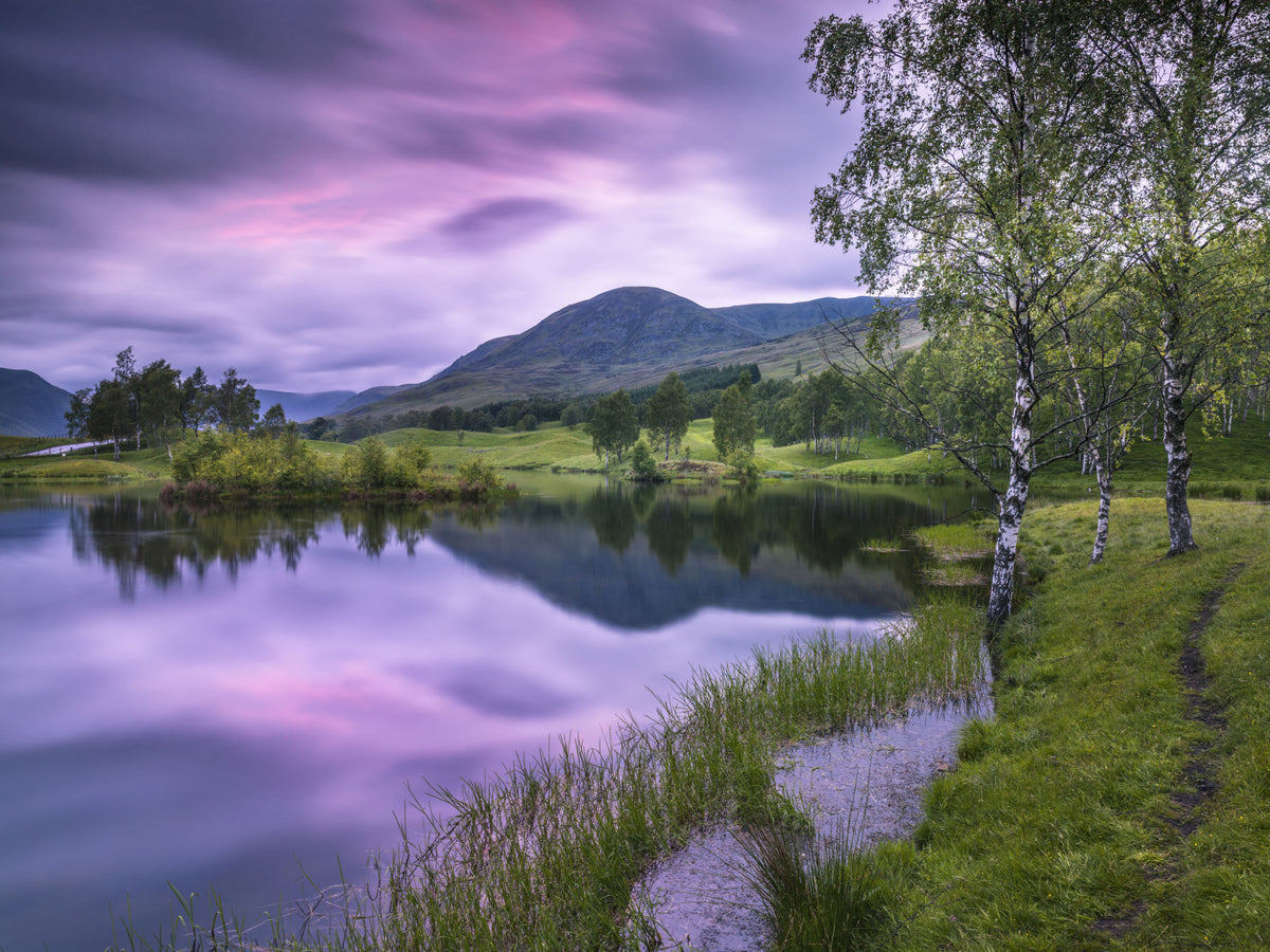 Highland Dusk Reflection Wall Mural in your room — zoomed