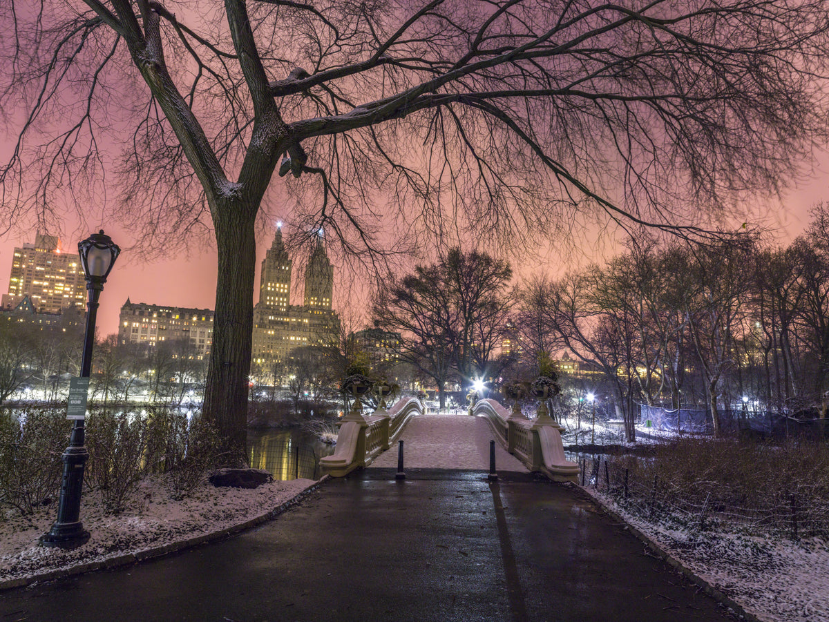 Central Park Winter Twilight Wall Mural in your room — zoomed