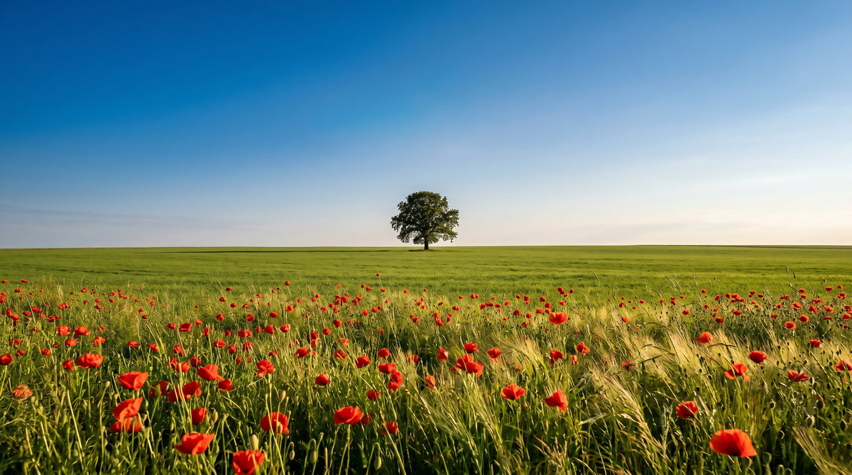 Vibrant Meadow Horizon Wall Mural in your room — zoomed