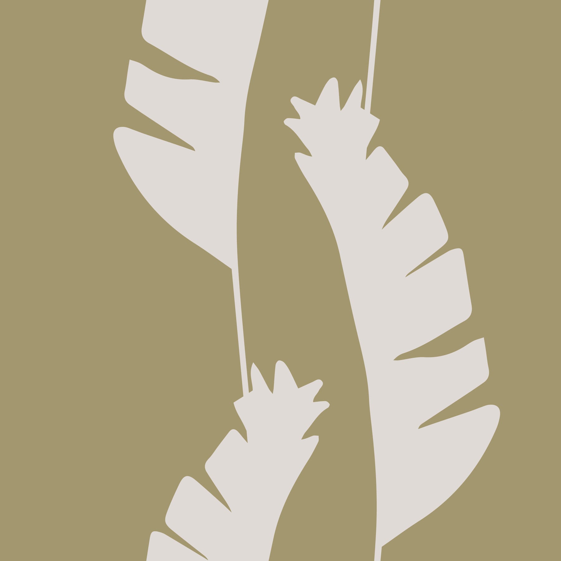 Olive Green Banana Leaf Wallpaper Boho Coastal Wallpaper⁠